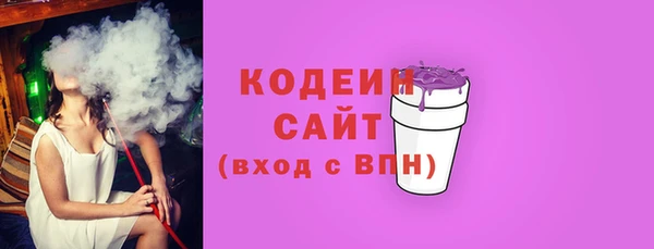 мдпв Карпинск