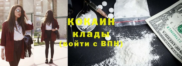 мдпв Карпинск
