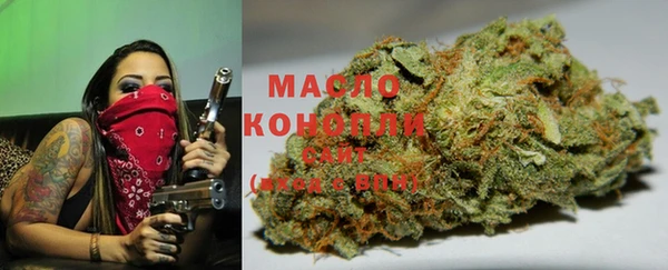 мдпв Карпинск