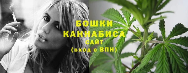 мдпв Карпинск