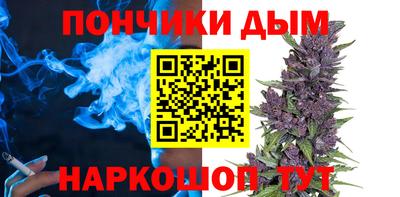 амф Кимры
