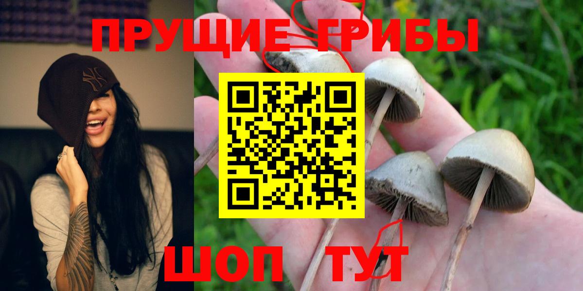 Норильск  Псилоцибиновые грибы мухоморы  где купить наркотик  Вход с VPN  Псилоцибиновые грибы MAGIC MUSHROOMS 
