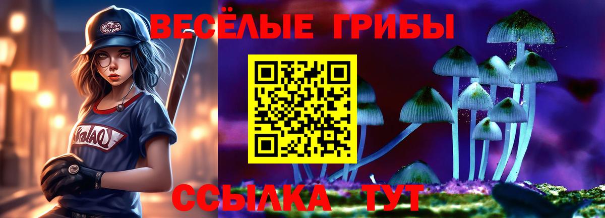 Псилоцибиновые грибы GOLDEN TEACHER  цены наркотик  Норильск 